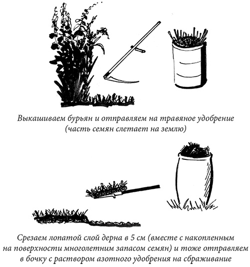 Иллюстрация к книге — Секреты доброй почвы для чудо-урожая [i_052.jpg]