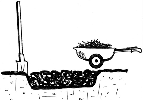 Иллюстрация к книге — Секреты доброй почвы для чудо-урожая [i_055.jpg]