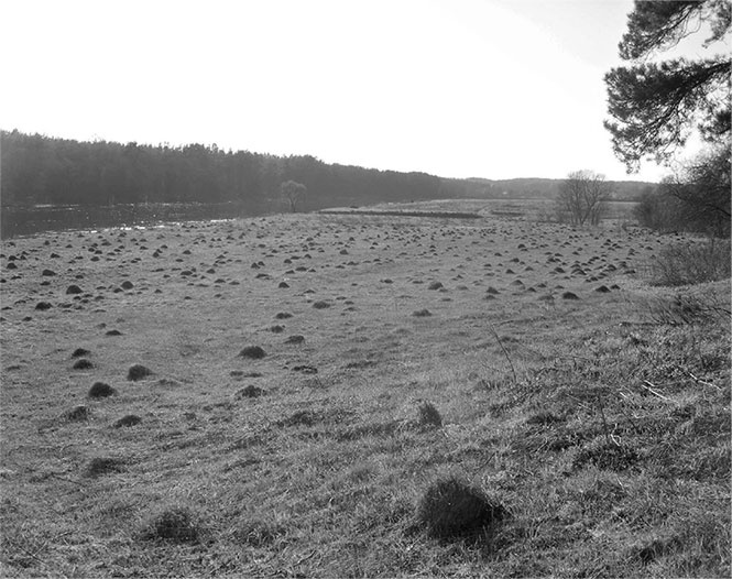 Иллюстрация к книге — Секреты доброй почвы для чудо-урожая [i_060.jpg]