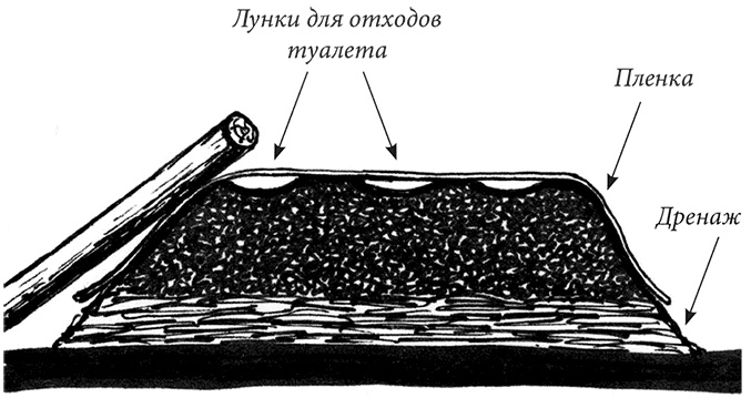 Иллюстрация к книге — Секреты доброй почвы для чудо-урожая [i_070.jpg]