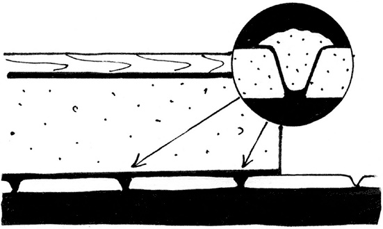 Иллюстрация к книге — Секреты доброй почвы для чудо-урожая [i_075.jpg]