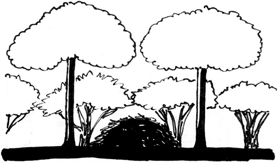 Иллюстрация к книге — Секреты доброй почвы для чудо-урожая [i_078.jpg]