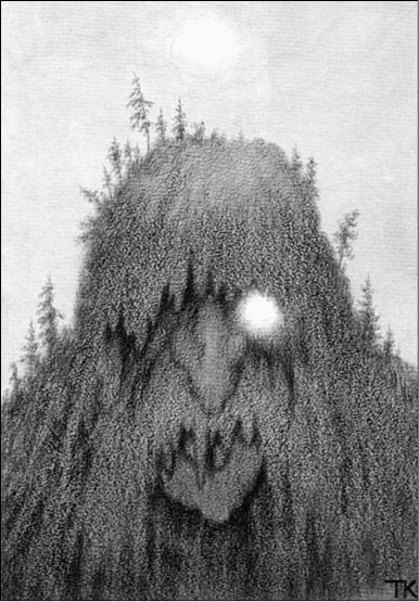 Иллюстрация к книге — Мистическая Скандинавия [i_020.jpg]