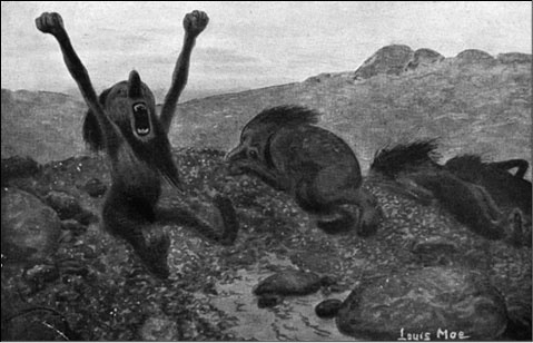 Иллюстрация к книге — Мистическая Скандинавия [i_024.jpg]