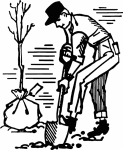 Иллюстрация к книге — Как создать экосад и сохранить здоровье. Советы врача и садовода с 40-летним стажем! [i_003.jpg]