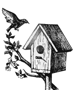 Иллюстрация к книге — Как создать экосад и сохранить здоровье. Советы врача и садовода с 40-летним стажем! [i_005.jpg]