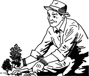 Иллюстрация к книге — Как создать экосад и сохранить здоровье. Советы врача и садовода с 40-летним стажем! [i_006.jpg]