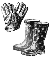 Иллюстрация к книге — Как создать экосад и сохранить здоровье. Советы врача и садовода с 40-летним стажем! [i_011.jpg]