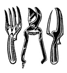 Иллюстрация к книге — Как создать экосад и сохранить здоровье. Советы врача и садовода с 40-летним стажем! [i_012.jpg]