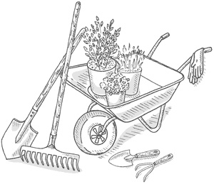 Иллюстрация к книге — Как создать экосад и сохранить здоровье. Советы врача и садовода с 40-летним стажем! [i_019.jpg]