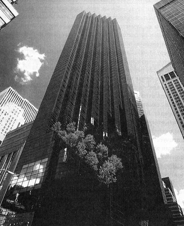 Иллюстрация к книге — Дональд Трамп. Мысли масштабно [i_017.jpg]