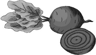 Иллюстрация к книге — Лунный посевной календарь с кулинарными рецептами 2017 [_30.jpg]