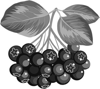 Иллюстрация к книге — Лунный посевной календарь с кулинарными рецептами 2017 [_33.jpg]