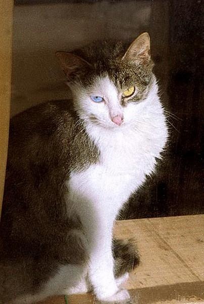 Иллюстрация к книге — Тайны петербургских крепостей. Шлиссельбургская пентаграмма [i_042.jpg]