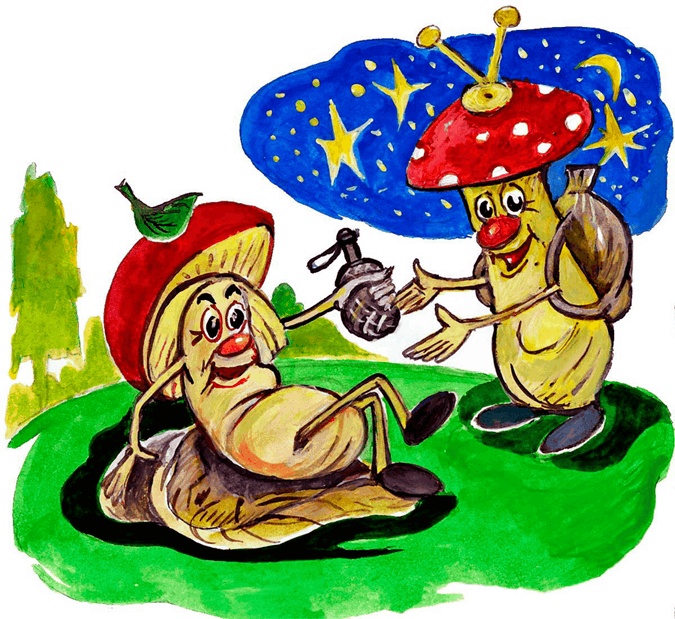 Иллюстрация к книге — Страна грибов [i_006.jpg]