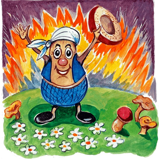 Иллюстрация к книге — Страна грибов [i_007.jpg]