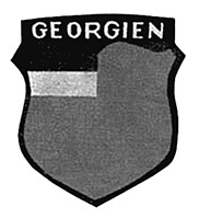 Иллюстрация к книге — Проклятые легионы. Изменники Родины на службе Гитлера [i_016.jpg]