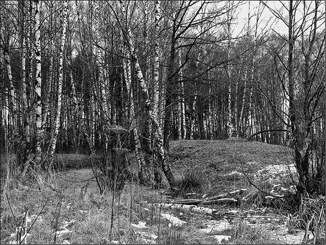 Иллюстрация к книге — Предания Синих камней [i_007.jpg]