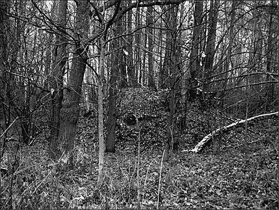 Иллюстрация к книге — Предания Синих камней [i_008.jpg]