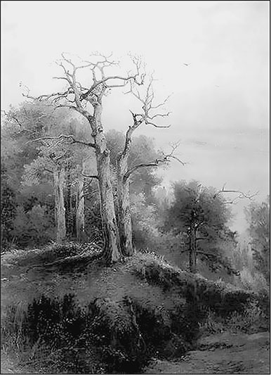 Иллюстрация к книге — Предания Синих камней [i_015.jpg]