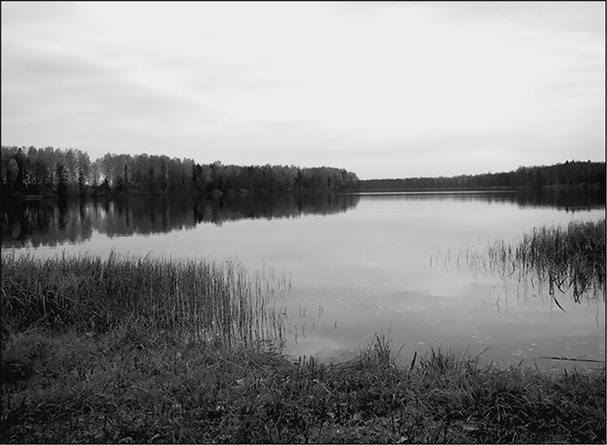 Иллюстрация к книге — Предания Синих камней [i_019.jpg]