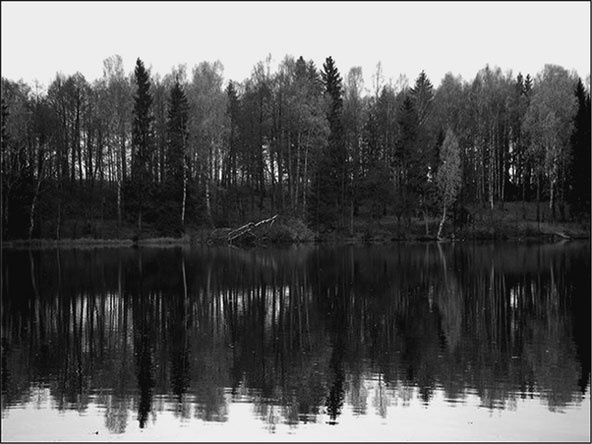 Иллюстрация к книге — Предания Синих камней [i_020.jpg]