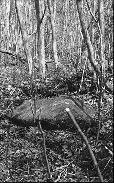 Иллюстрация к книге — Предания Синих камней [i_023.jpg]