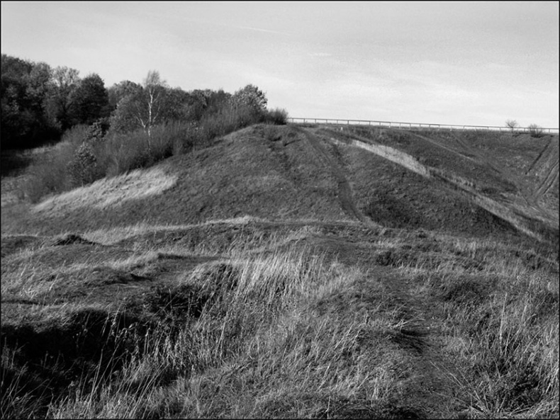 Иллюстрация к книге — Предания Синих камней [i_037.jpg]