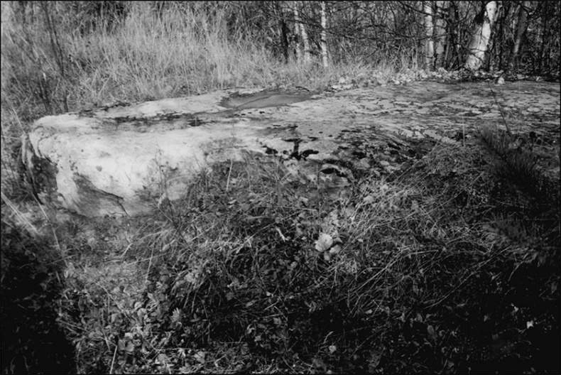 Иллюстрация к книге — Предания Синих камней [i_055.jpg]