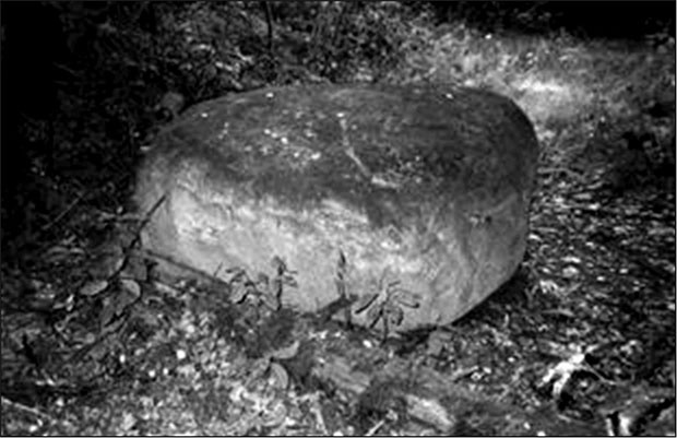 Иллюстрация к книге — Предания Синих камней [i_058.jpg]