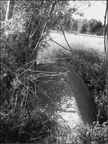 Иллюстрация к книге — Предания Синих камней [i_060.jpg]