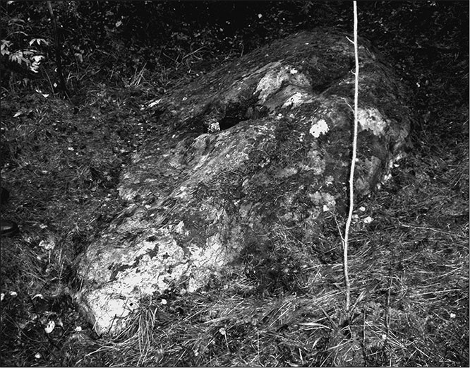 Иллюстрация к книге — Предания Синих камней [i_063.jpg]