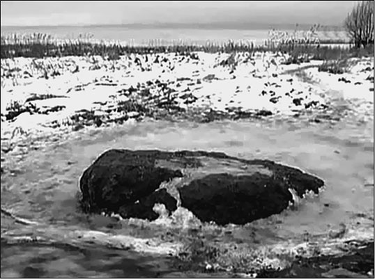 Иллюстрация к книге — Предания Синих камней [i_086.jpg]