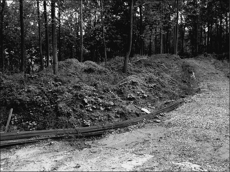 Иллюстрация к книге — Предания Синих камней [i_092.jpg]