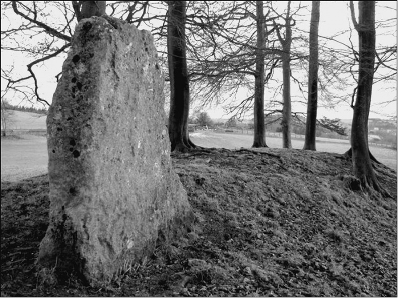 Иллюстрация к книге — Предания Синих камней [i_094.jpg]