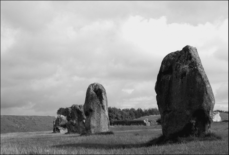 Иллюстрация к книге — Предания Синих камней [i_095.jpg]
