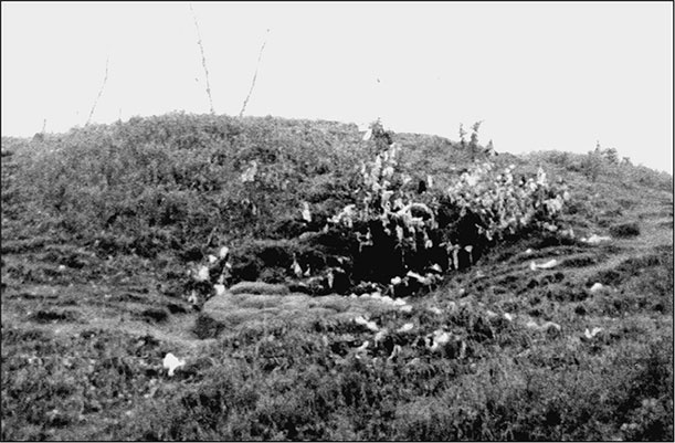 Иллюстрация к книге — Предания Синих камней [i_119.jpg]