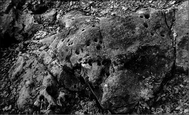 Иллюстрация к книге — Предания Синих камней [i_132.jpg]