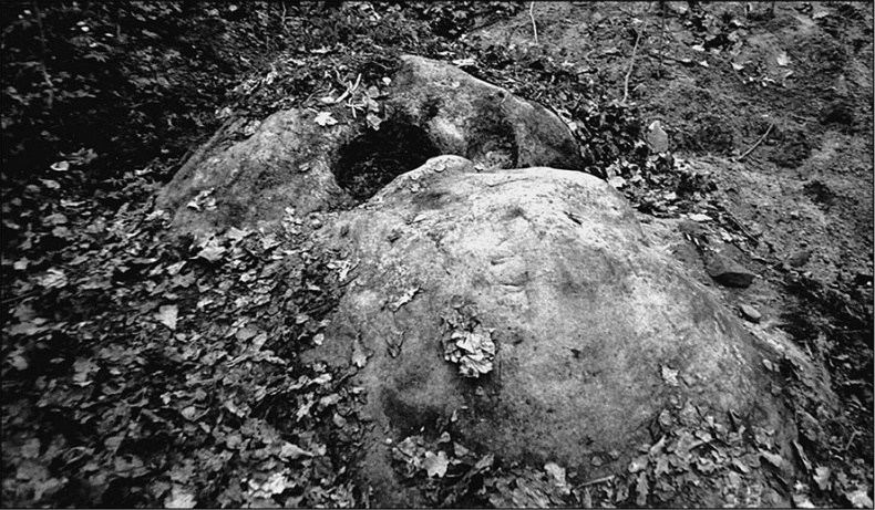 Иллюстрация к книге — Предания Синих камней [i_133.jpg]