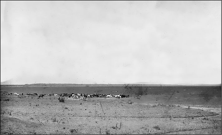 Иллюстрация к книге — Предания Синих камней [i_140.jpg]