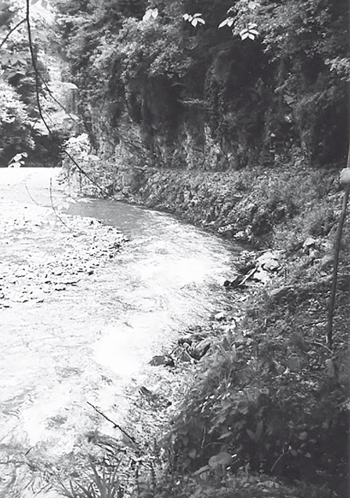 Иллюстрация к книге — Рассвет Инлиранги [i_004.jpg]