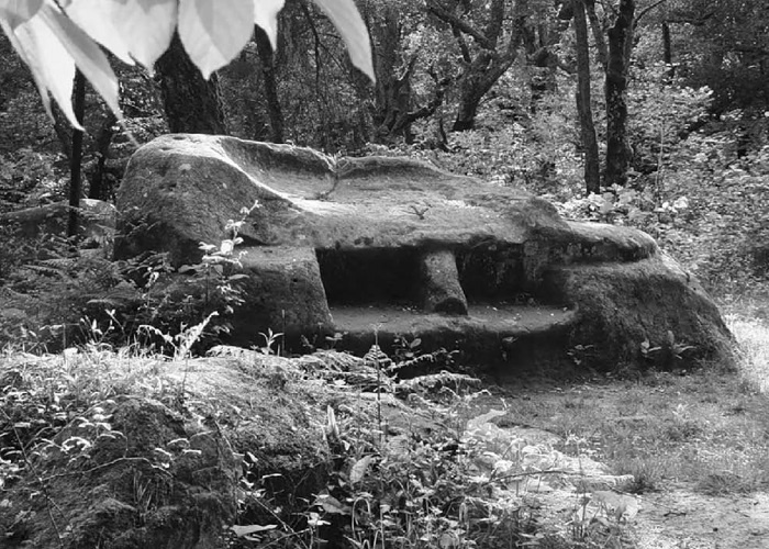 Иллюстрация к книге — Рассвет Инлиранги [i_005.jpg]