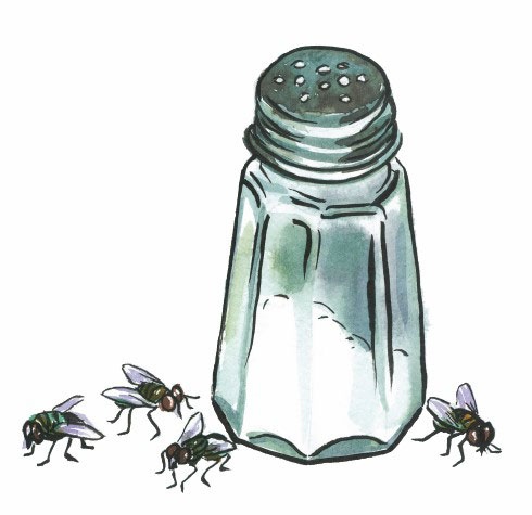 Иллюстрация к книге — Большое путешествие Димы. Книга вторая [i_019.jpg]