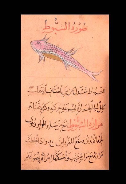 Иллюстрация к книге — Битвы за еду и войны культур. Тайные двигатели истории [i_027.jpg]