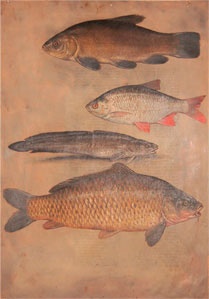 Иллюстрация к книге — Битвы за еду и войны культур. Тайные двигатели истории [i_030.jpg]