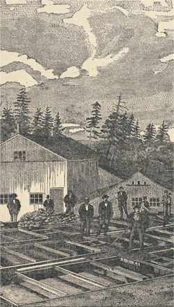 Иллюстрация к книге — Битвы за еду и войны культур. Тайные двигатели истории [i_036.jpg]