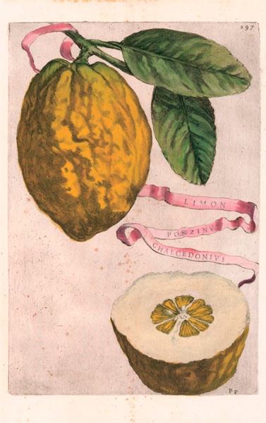 Иллюстрация к книге — Битвы за еду и войны культур. Тайные двигатели истории [i_043.jpg]