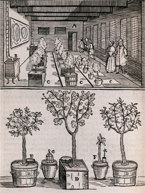 Иллюстрация к книге — Битвы за еду и войны культур. Тайные двигатели истории [i_044.jpg]