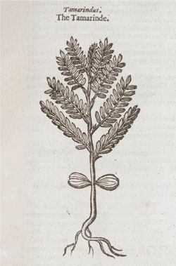 Иллюстрация к книге — Битвы за еду и войны культур. Тайные двигатели истории [i_117.jpg]