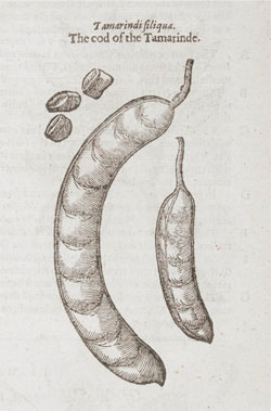 Иллюстрация к книге — Битвы за еду и войны культур. Тайные двигатели истории [i_118.jpg]